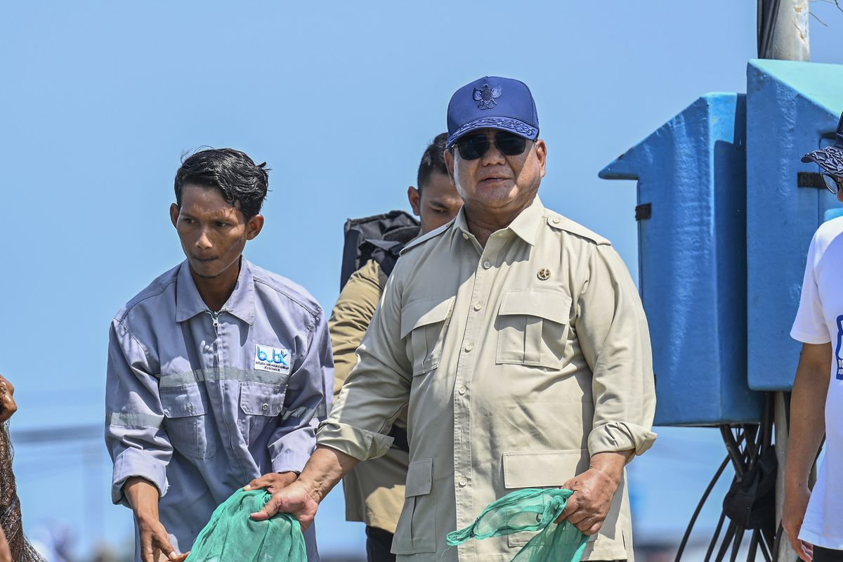 Panen Udang di Kebumen, Prabowo: Harganya Sangat Bagus