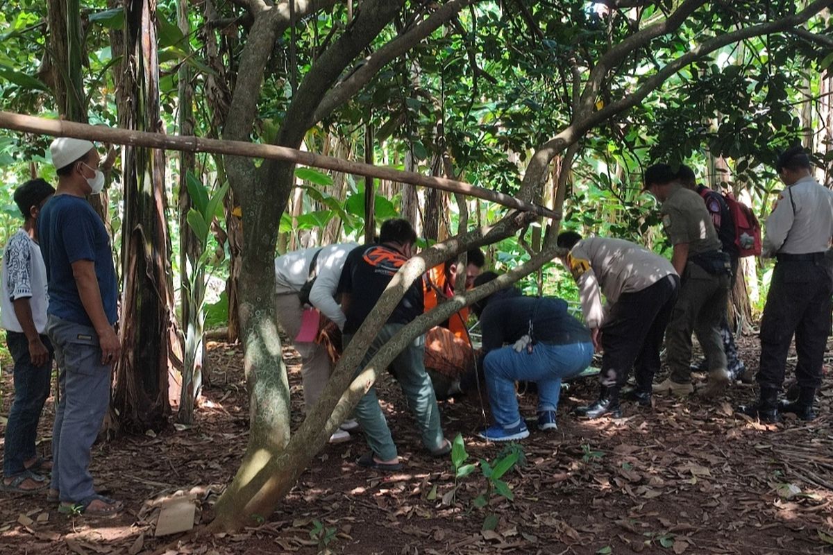 Pria berinisial N (30) ditemukan tewas gantung diri di salah satu pohon di kebon kosong kawasan Cipedak, Jagakarsa, Jakarta Selatan, Selasa (22/11/2022) pagi. 