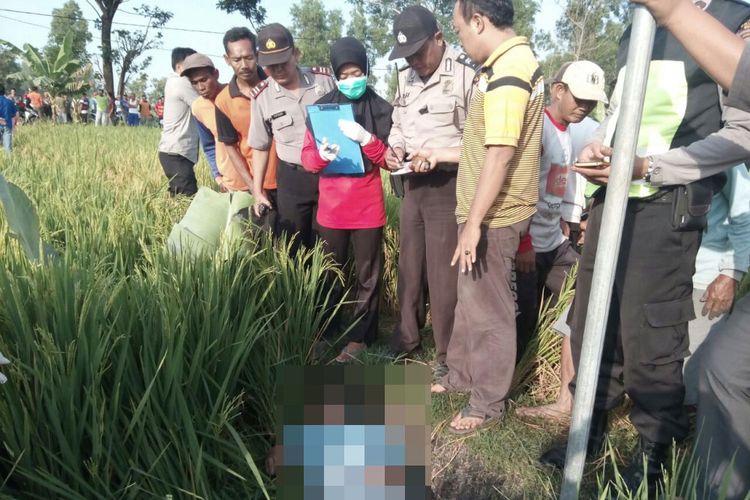 Aparat Polsek Padas Kabupaten Ngawi menggelar olah tempat kejadian perkara di lokasi tewasnnya Lasiran (60), pensiunan PNS yang tewas tersengat listrik perangkap tikus di sawahnya, Senin (11/9/2017). 