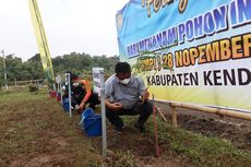 DLH Kendal Peringati Hari Menanam Pohon, 800 Pohon Ditanam di Bekas Galian C