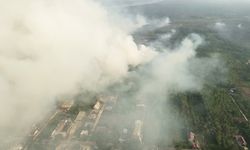 Karhutla Tembus Delineasi IKN, Otorita Siapkan Pencegahan dan Penanganan Sistematis 