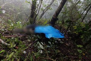 Jejak Pohon Patah di Lereng Berkabut, Cerita Saipul Menemukan Korban Pesawat ATR 42-500