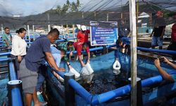 Kementerian KP Latih BUMDes Ambon Kembangkan Usaha Budidaya Ikan