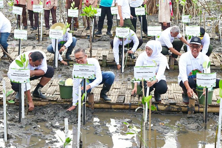 PT Semen Indonesia (Persero) Tbk (SMGR) bersama pemerintah Provinsi Jawa Timur melakukan penanaman 17.845 bibit bakau (mangrove) di Pantai Bahak, Curahdringu, Tongas, Probolinggo, Jawa Timur.