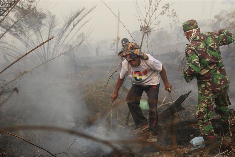 petugas dari Polsek Bubon, TNI dan warga Desa Suak Pangkat Kecamatan Bubon,Aceh Barat melakukan upaya pemadaman titik api kebakaran hutan dan lahan gambut dengan cara manual, Kamis (01/08/2019). lokasi titik api yang tersebar di Kecamatan bubon terus meluas diperkirakan mencapai 29 hektar, kondisi kebakaran diperparah akibat cuaca panas dan angin yang sulit dipadamkan petugas karena akses sulit dijangkau.