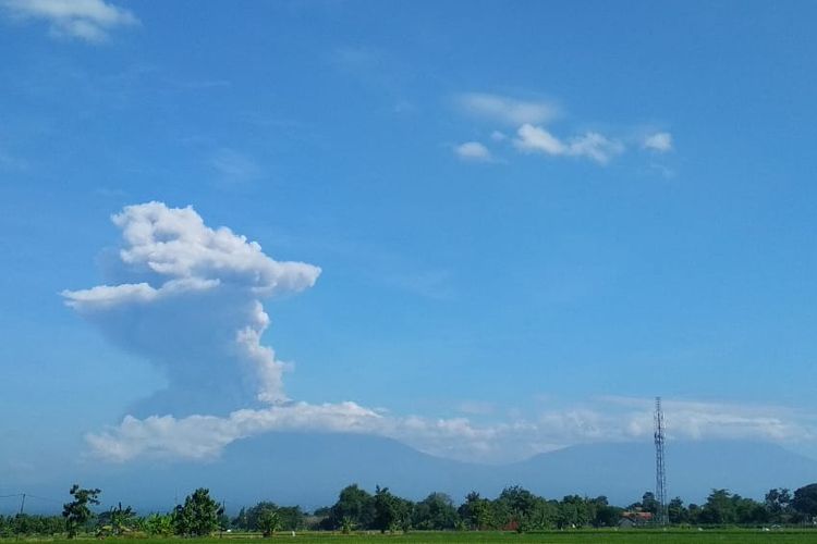 Erupsi Gunung Merapi terlihat dari Klaten, Jawa Tengah, Minggu (21/6/2020). Berdasarkan data pengamatan Balai Penyelidikan dan Pengembangan Teknologi Kebencanaan Geologi (BPPTKG), terjadi erupsi Gunung Merapi pada pukul 09.13 WIB dengan aplitudo 75 mm, durasi 328 detik dan tinggi kolom erupsi kurang lebih 6.000 meter dari puncak.