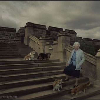 Ratu Elizabeth II sewaktu masih hidup berfoto bersama anjing Corgi peliharaanya. 
