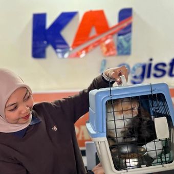KAI Logistik melalui layanan Kalog Express menyediakan layanan pengiriman hewan yang aman dan tepercaya. Kalog Express menerapkan prosedur pengiriman yang ketat untuk memastikan keselamatan dan kesejahteraan hewan selama perjalanan. Hewan akan ditempatkan di gerbong khusus dan diawasi secara berkala oleh petugas.

