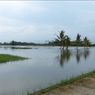 Belasan Hektar Sawah di Purworejo Terendam Banjir, Masalah Tanggul Sungai dan Pintu Air
