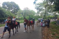 Mengintip Pasar Minggu Kiarapayung Jatinangor, dari Tempat "Jogging", Bersepeda, hingga Ojek Kuda