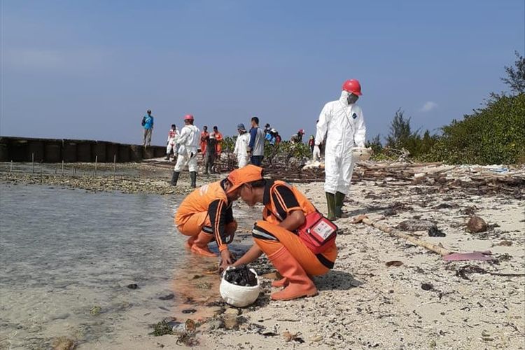 18250 Kilogram Limbah Minyak Mentah Terkumpul Di Pulau