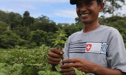 Di Hulu Rantai Nilai, Ini Cerita Petani Indonesia Hadapi Tantangan Akses Pasar 