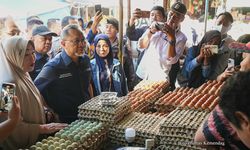 Tinjau Pasar Terong di Makassar dan Papua, Mendag Zulhas: Harga Bapok Stabil dan Pasokan Cukup