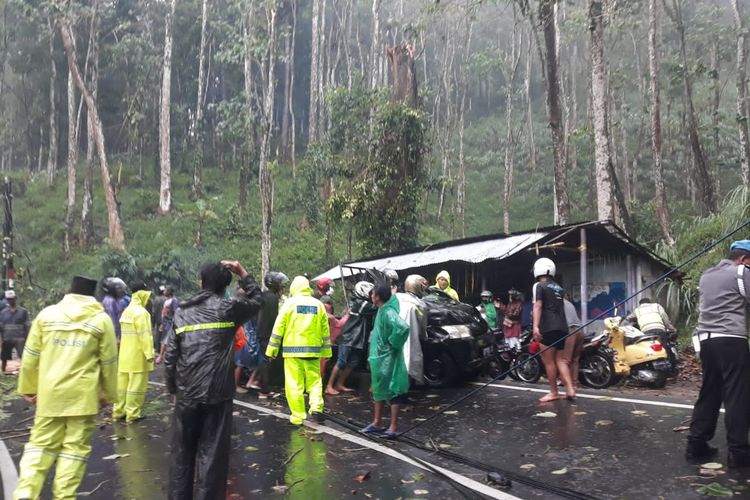 Proses evakuasi mobil pikap yang tertimpa pohon tumbang di jalan raya provinsi Malang-Kediri, Desa Jombok, Kecamatan Ngantang, Kabupaten Malang, Sabtu (1/10/2022) pukul 13.30 WIB.