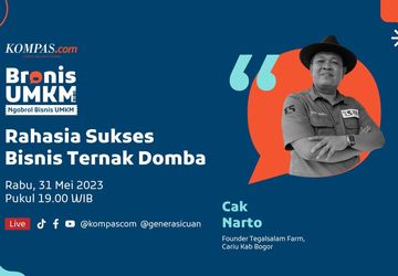 LIVE BRONIS UMKM 31 MEI 2023: Rahasia Sukses Bisnis Ternak Domba
