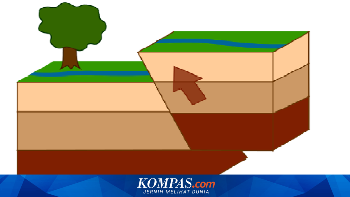 3 Jenis Sesar dan Proses Pembentukannya