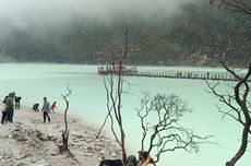 Kawah Putih Bandung Punya Spot Instagramable Baru, Bisa Lihat Kebun Teh