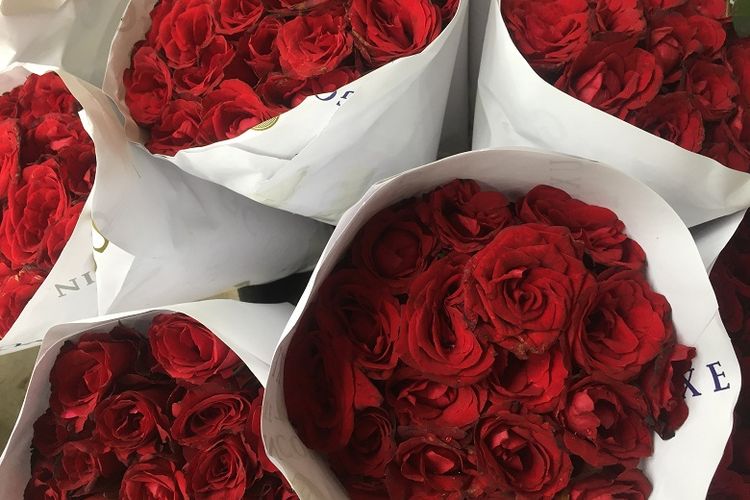 Bunga mawar dari Malang yang dijual di Pasar Bunga Rawa Belong