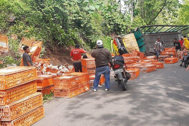 TERGULING—Truk yang mengangkut tiga ton ayam potong terguling di ruas jalan Raya Sawoo-Tumpakpelem, Desa Sawoo, Kecamatan Sawoo, Kabupaten Ponorogo, Senin (16/11/2020).