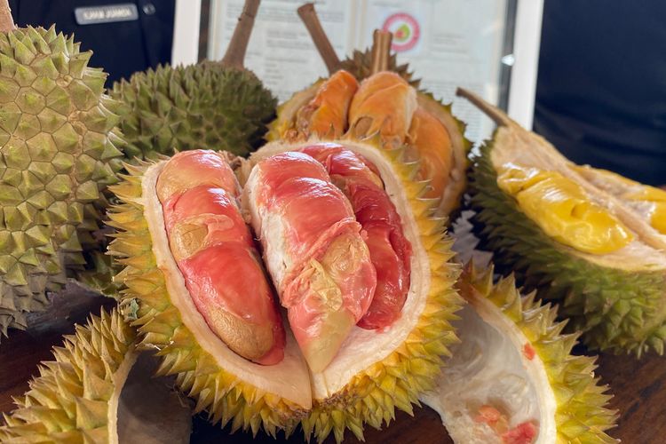 Srengege Wetan, Durian “Matahari Terbit” dari Banyuwangi yang Curi Perhatian