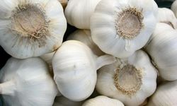 Mentan : Perusahaan dan Grupnya Kami Blacklist, Aparat Kementan yang Terlibat Kami Pecat