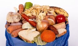 Cegah Food Waste dan Food Loss dari Rumah dengan 5 Cara Sederhana Ini
