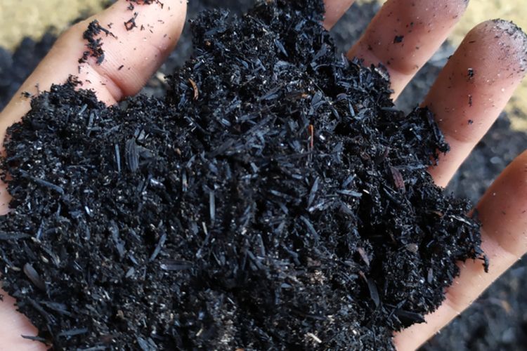 Ilustrasi arang sekam untuk media tanam. 