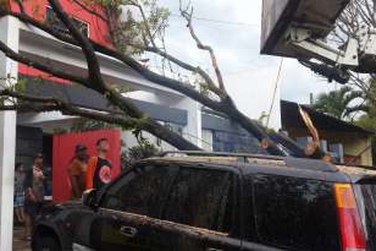 Sebuah pohon di Jalan Tondano Raya Kelurahan Madyopuro, Kecamatan Kedung Kandang, Kota Malang yang tumbang menimpa mobil, Jumat (13/1/2017)