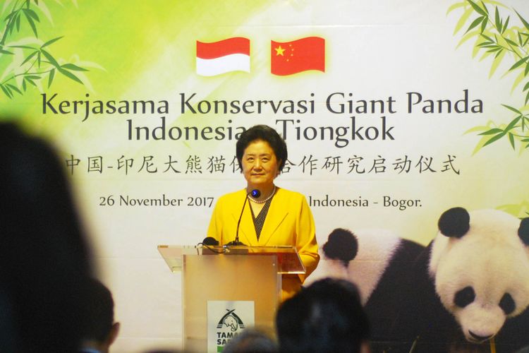 Wakil Perdana Menteri Cina Madame Liu Yandong, saat memberikan sambutan dalam acara kerjasama konservasi Giant Panda, di Taman Safari Indonesia, Minggu (26/11/2017)