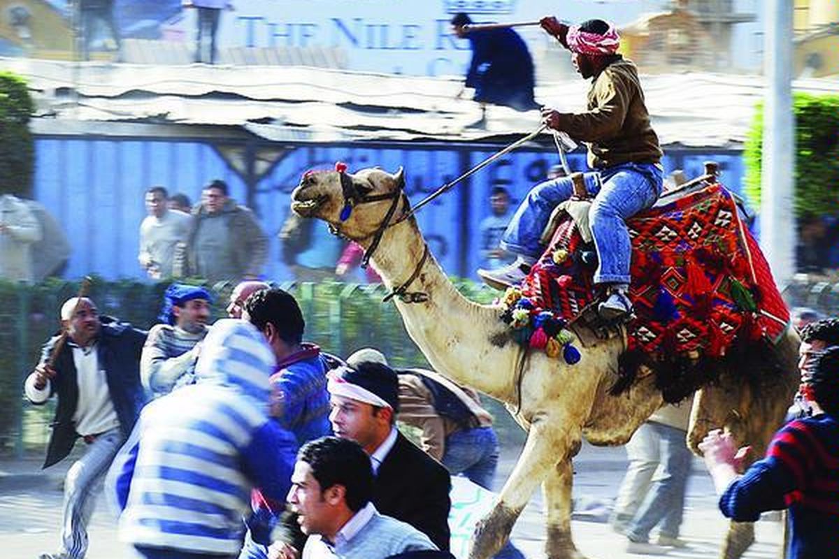 Seorang pendukung Presiden Hosni Mubarak, menunggang unta, menerjang barisan pengunjuk rasa di Kairo, Mesir, Rabu (2/2). Ribuan pendukung Presiden Mubarak yang menunggang unta, kuda, dan memegang pentungan bentrok dengan pengunjuk rasa anti-Mubarak, Rabu di sekitar Alun-alun Tahrir. 