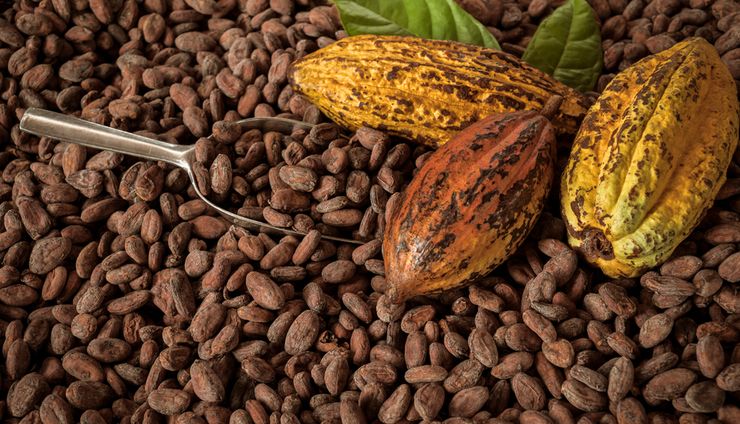 Cokelat Specialty: Mendorong Kakao Berdaya Saing