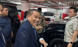 Selain Jadi Advokat, Hotman Paris Sukses Bangun Bisnis Properti