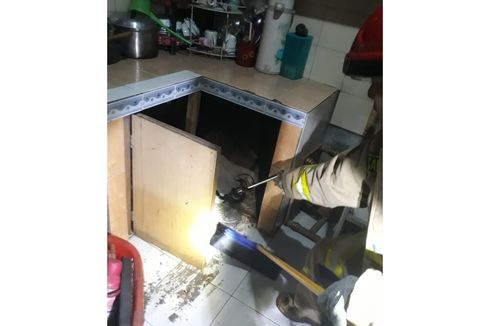 Sedang Masak, Warga Cipayung Panik Lihat Ular Kobra Masuk ke Dapurnya