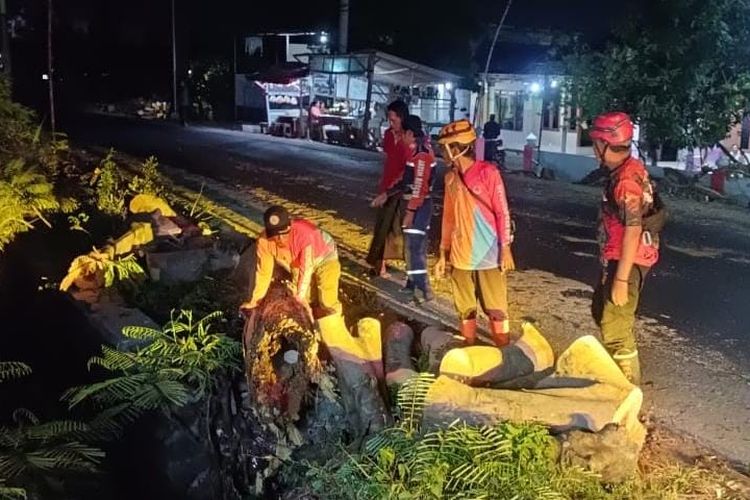 Pohon Tumbang Timpa Satu Keluarga di Pasuruan, Empat Orang Terluka
