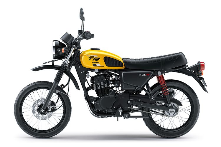 Kawasaki W175TR model year 2024