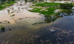 Menggugat Kemerdekaan Ekologis