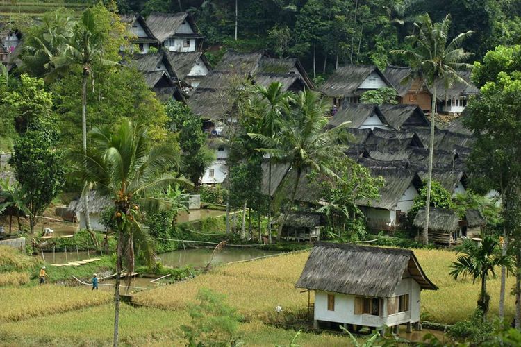 Foto dirilis Rabu (30/1/2019), menunjukkan suasana Kampung Naga, Kabupaten Tasikmalaya, Jawa Barat. Warga Kampung Naga merupakan salah satu masyarakat adat yang masih memegang tradisi nenek moyang mereka, salah satunya adalah tradisi panen padi.
