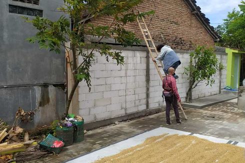 Balada Warga Menembok Akses Rumah Tetangga, gara-gara Sumpah Serapah hingga Jemuran
