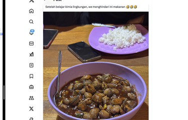 Tangkapan layar unggahan warganet soal bahaya makan kerang dara.