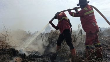 Karhutla Membara di Rokan Hilir Riau, Sudah 70 Hektar Lahan Gambut Terbakar