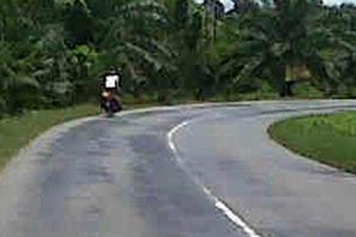 Jalur Palopo-Mangkutana.