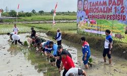 Padi Biosalin Disebut Jadi Kunci Wujudkan Pertanian Berkelanjutan Masa Depan Kota Semarang