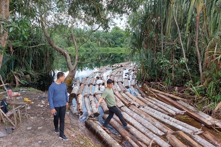 Polda Riau saat menemukan kayu-kayu yang dirambah dan dihanyutkan ke sungai di kawasan Giam Siak Kecil di Kabupaten Bengkalis, Riau, Selasa (16/11/2021).