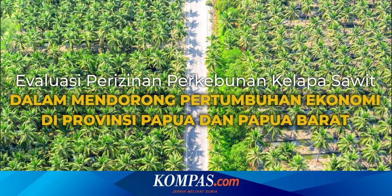 Sarat Masalah, Perizinan Perkebunan Kelapa Sawit di Papua dan Papua Barat Dievaluasi - Vimarsana News