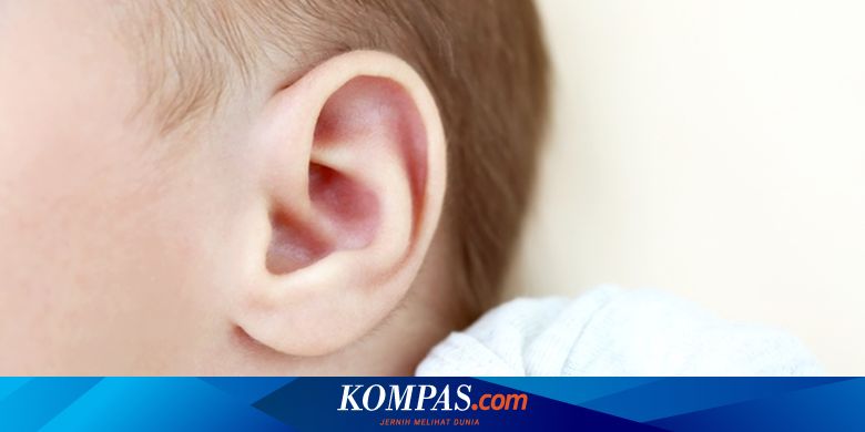 Misteri Tubuh Manusia: Kenapa Kita Punya Kotoran Telinga ...
