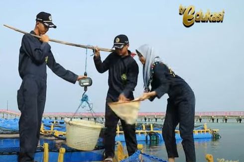 Teknik Panen Ikan Laut, Jawaban Soal TVRI 23 September 2020