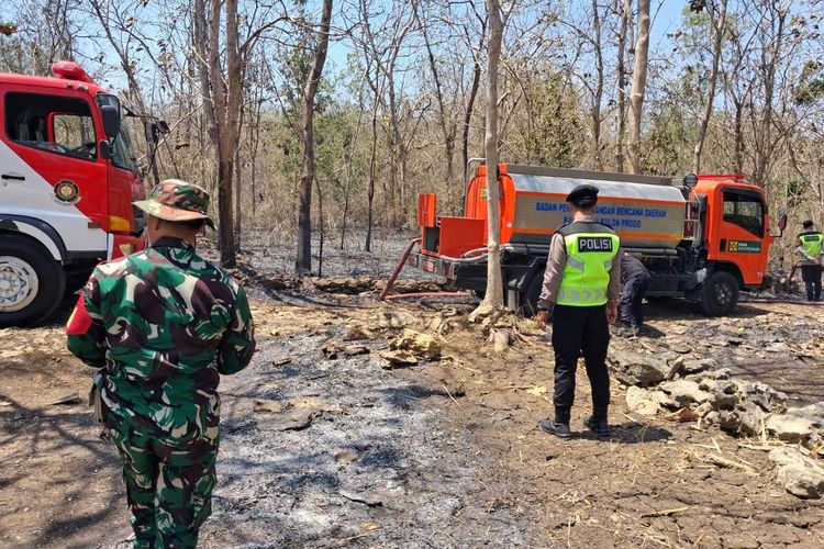 Bakar Sampah, Api Merembet dan Lahap Lahan Pekarangan Seluas 1 Hektare di Kulon Progo