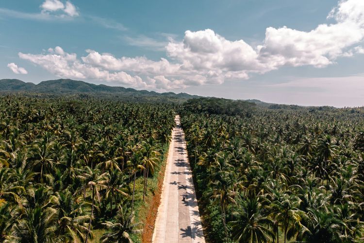 Ilustrasi Siargao Island.