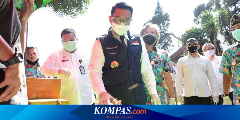 Dongkrak Ekonomi, Jabar Ekspor Sayur hingga Kaktus