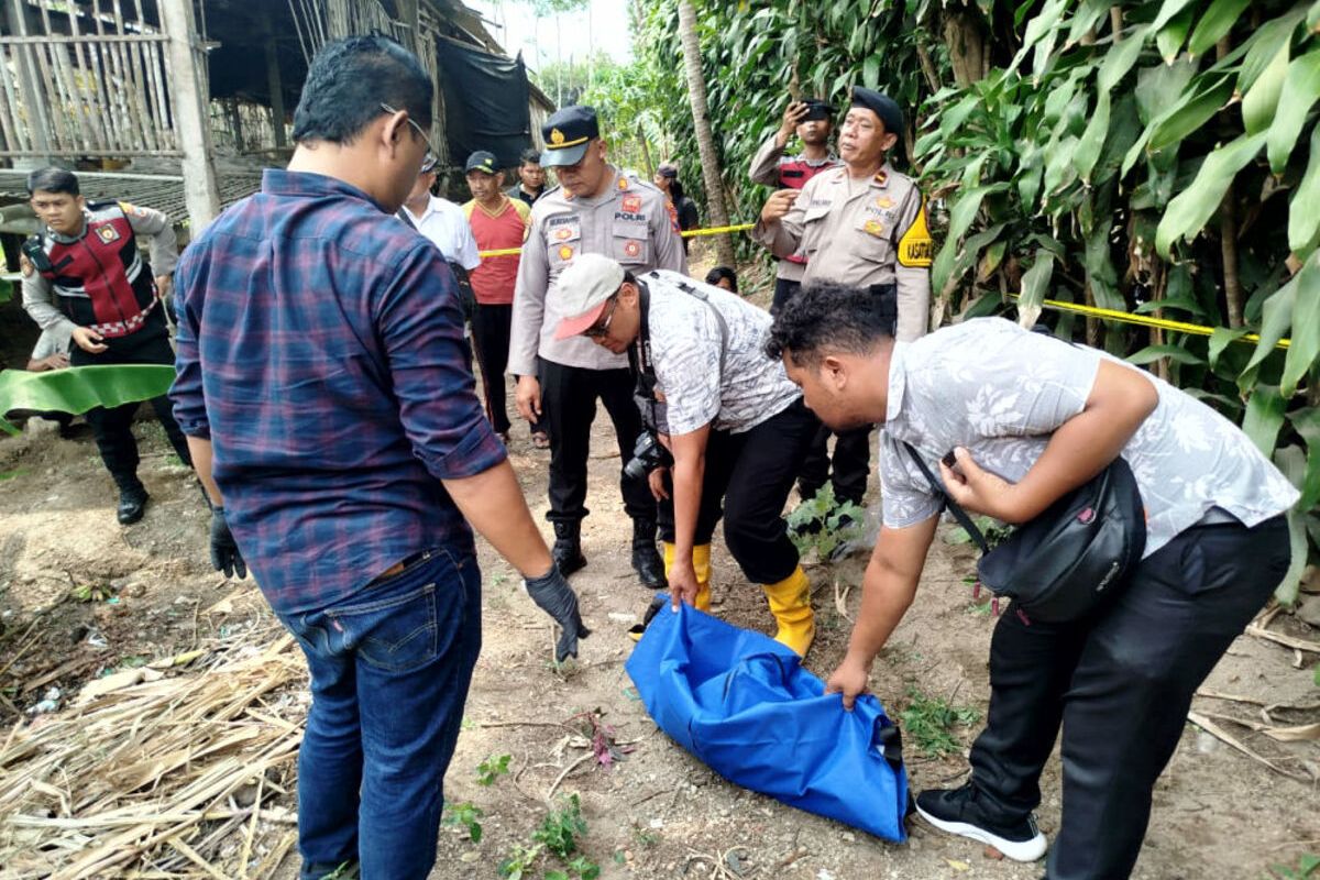 Personel kepolisian memindahkan jasad bayi yang ditemukan terbungkus kantong plastik di pekarangan warga Desa Sumberasri, Kecamatan Nglegok, Kabupaten Blitar, ke rumah sakit setempat, Rabu (25/9/2024)